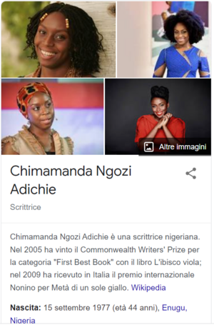 Chimamanda Aidichie.png